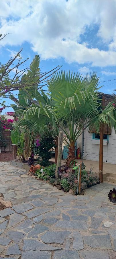 Beautiful Vintage Bungalow Wifi Parking. Las Galletas Buitenkant foto